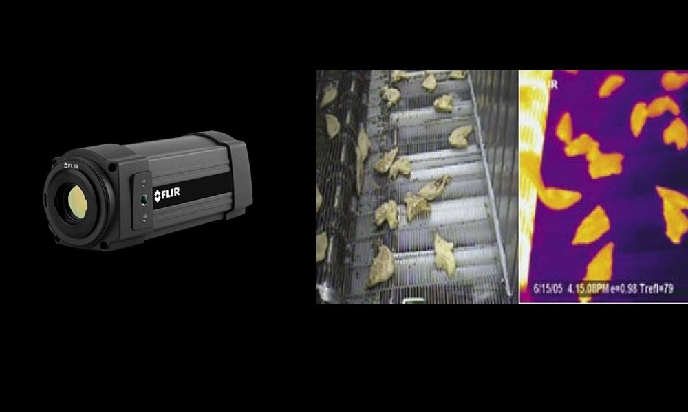 Gıda endüstrisinde termal görüntüleme kameraları